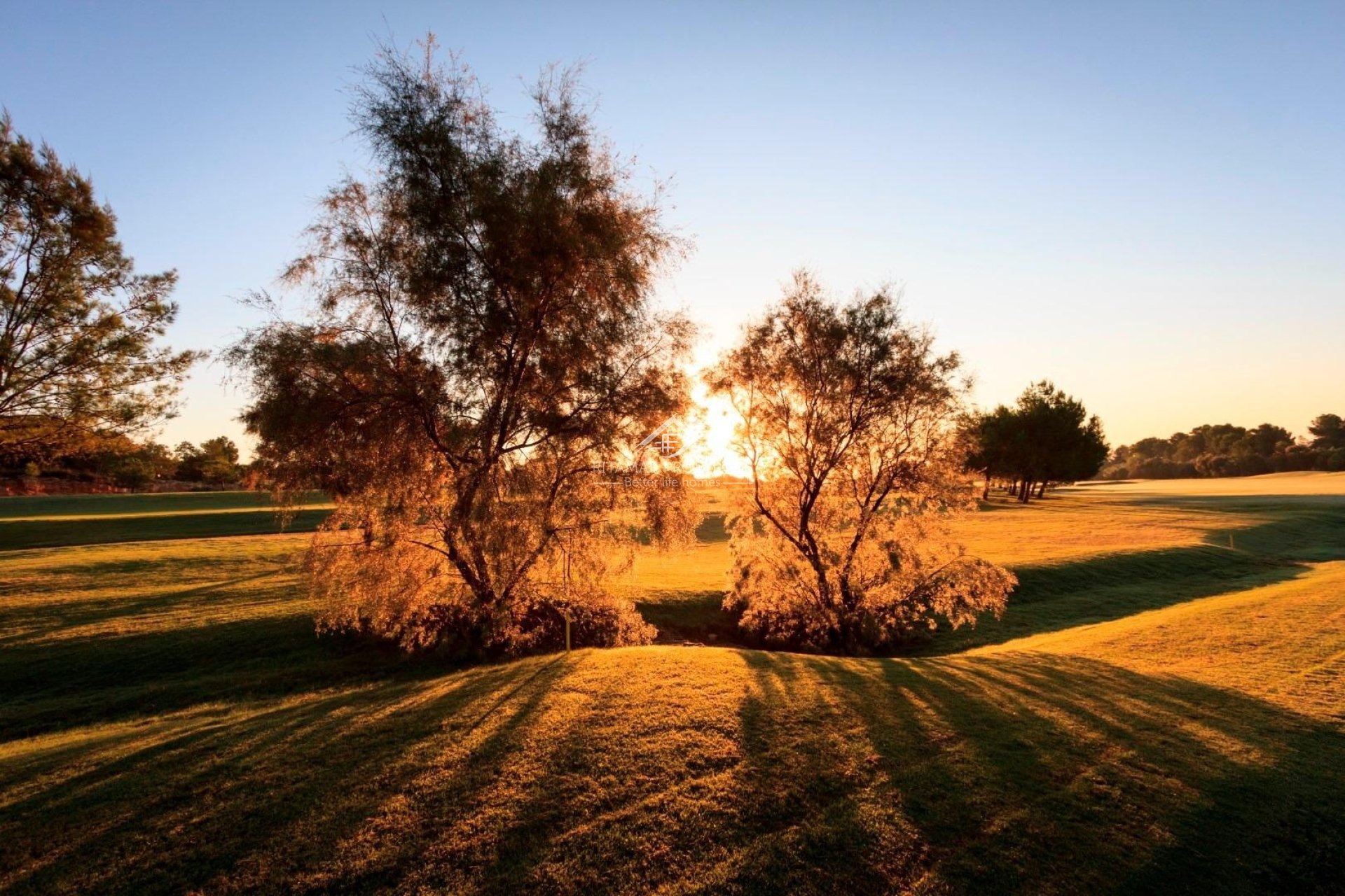 Neubau - Villa - Pilar de la Horadada - Lo Romero Golf
