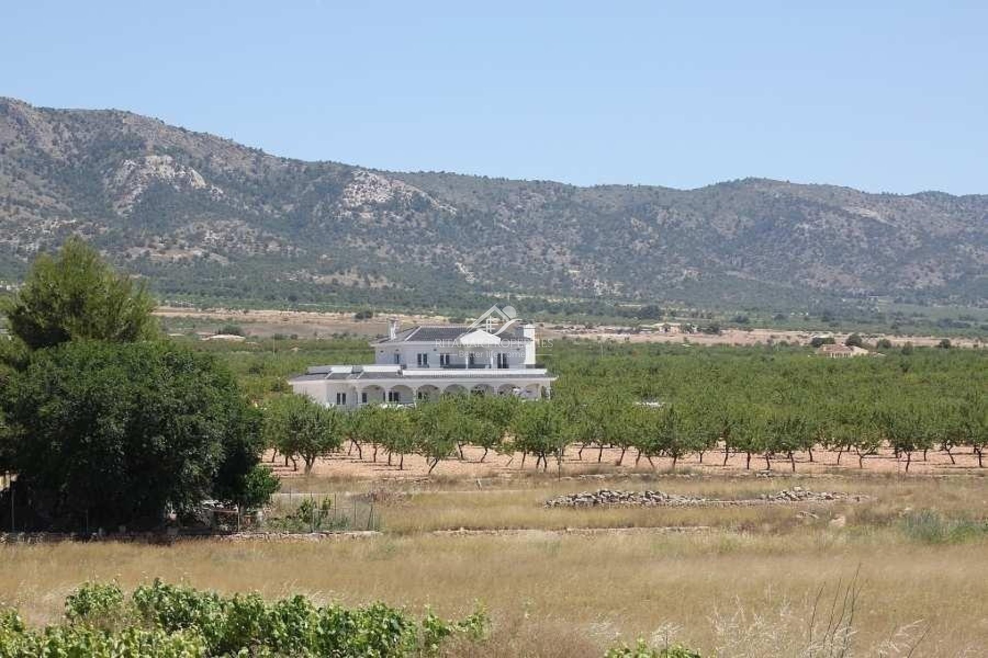 Neubau - Villa - Pinoso - Camino Del Prado