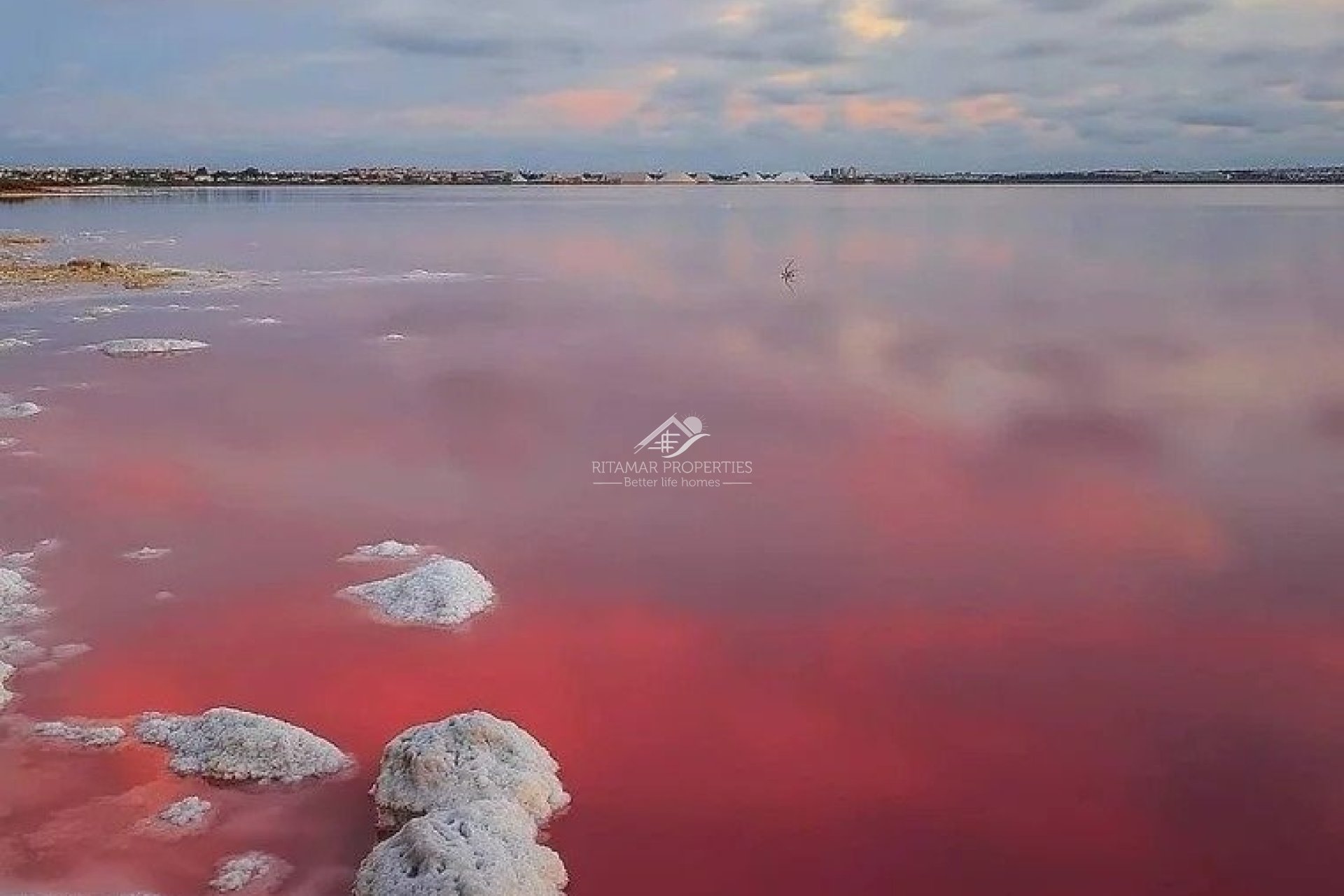 Neubau - Villa - Torrevieja - Lago Jardín II