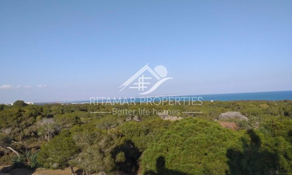 New build - Ground floor apartment - Guardamar del Segura - Pueblo