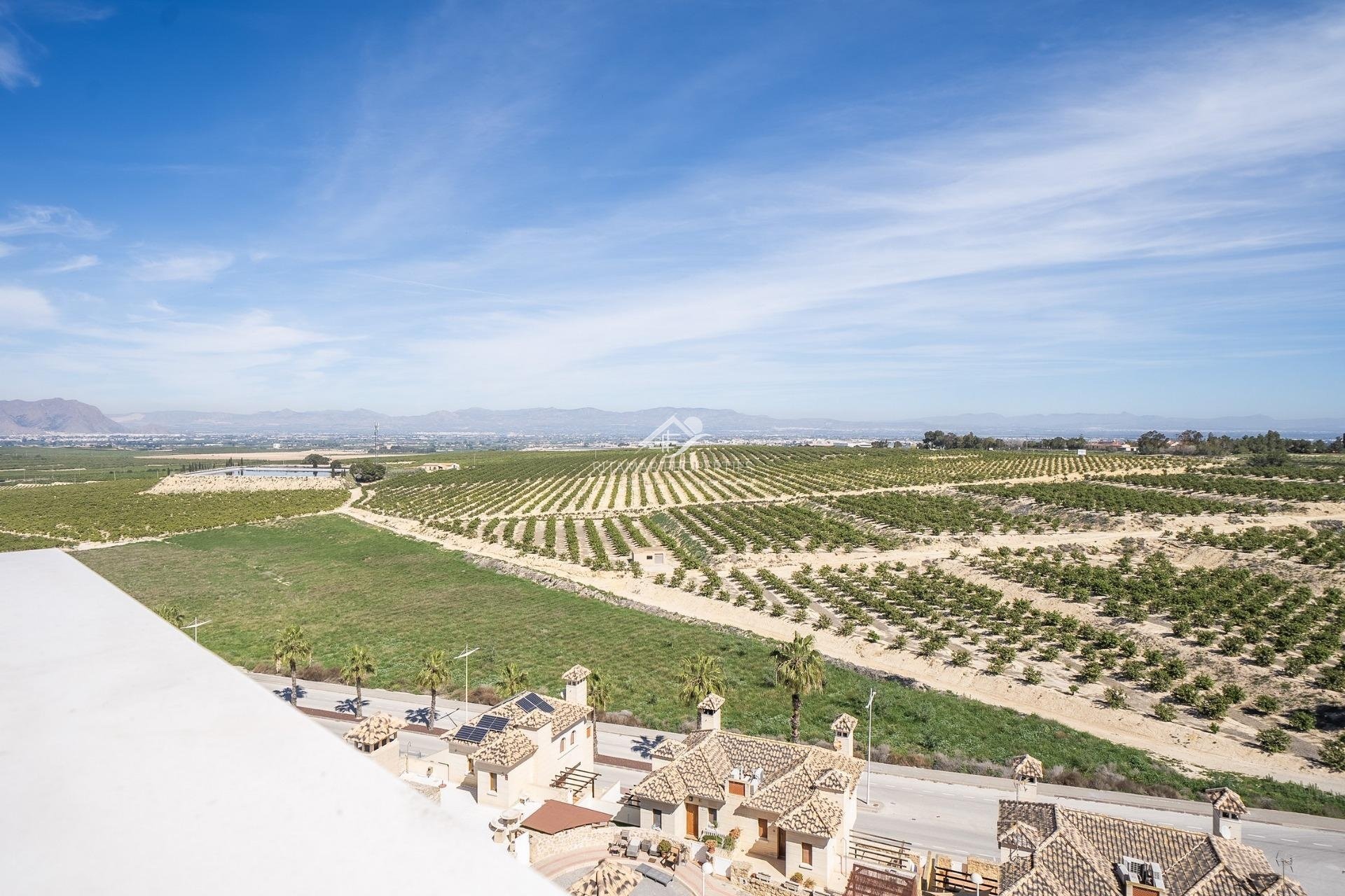 New build - Villa - Algorfa - La Finca Golf