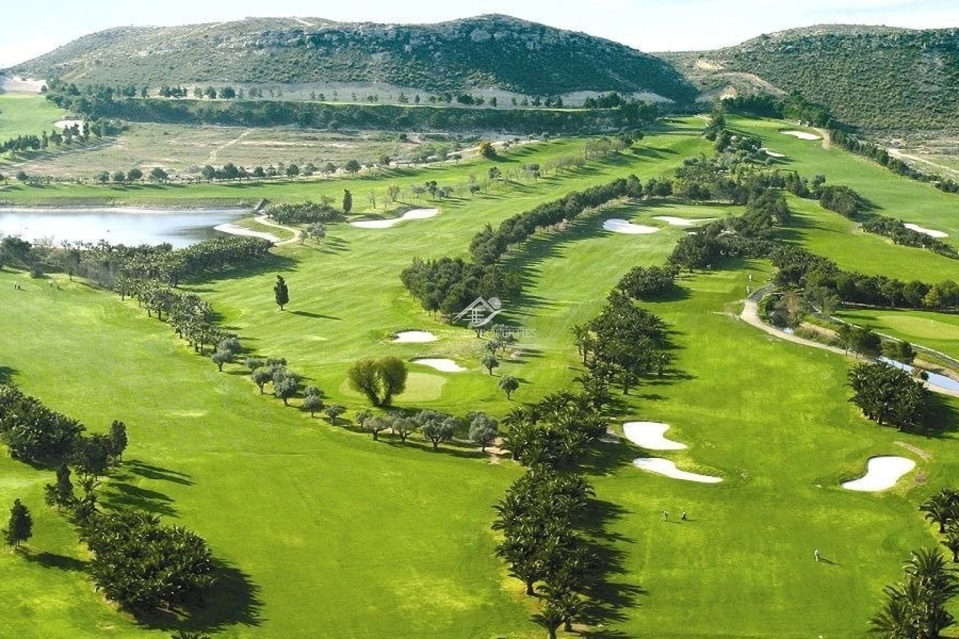 New build - Villa - Baños y Mendigo - Altaona Golf