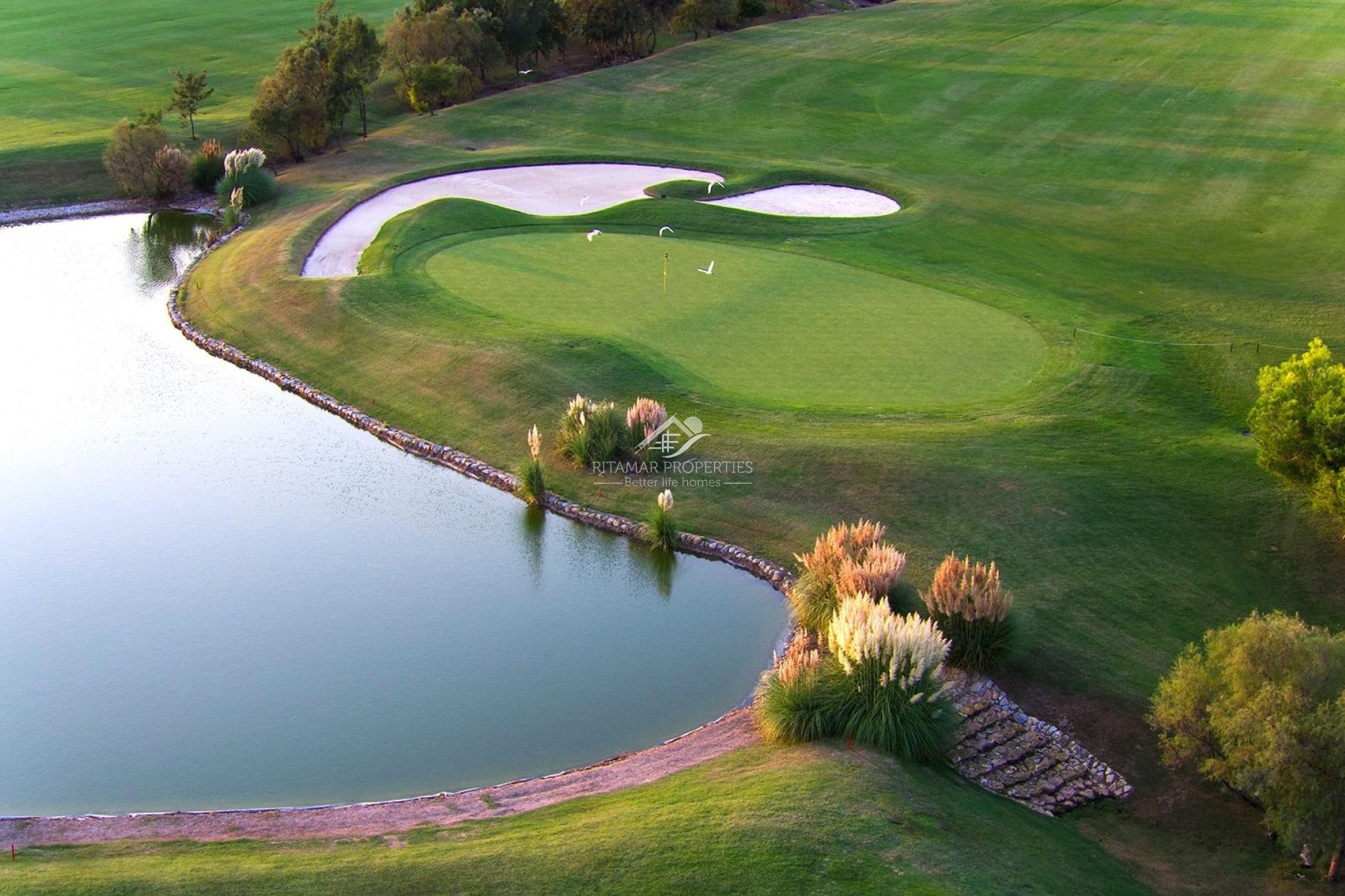 New build - Villa - Pilar de la Horadada - Lo Romero Golf
