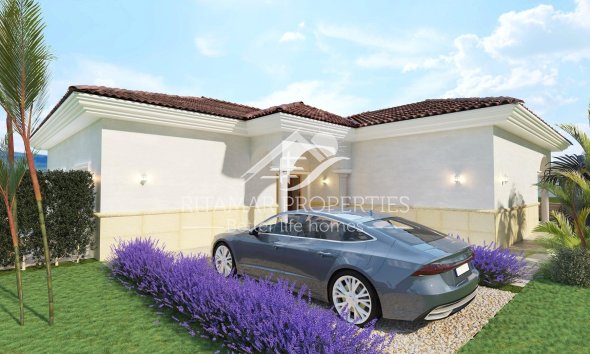 New build - Villa - Pinoso - Rodriguillo