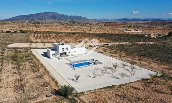 New build - Villa - Pinoso