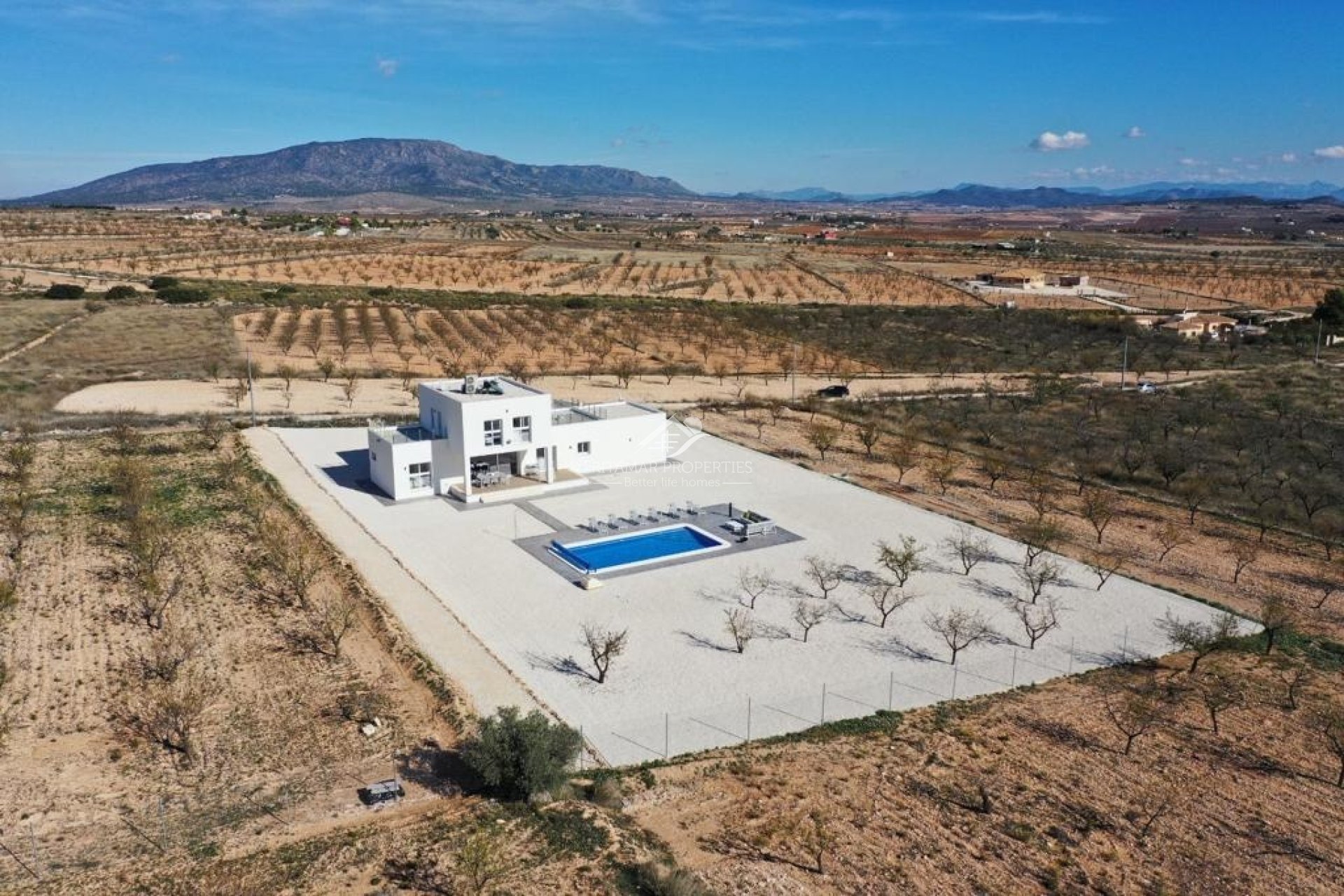 New build - Villa - Pinoso