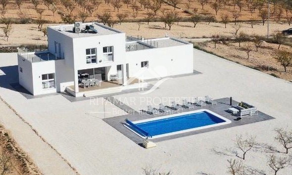 New build - Villa - Pinoso