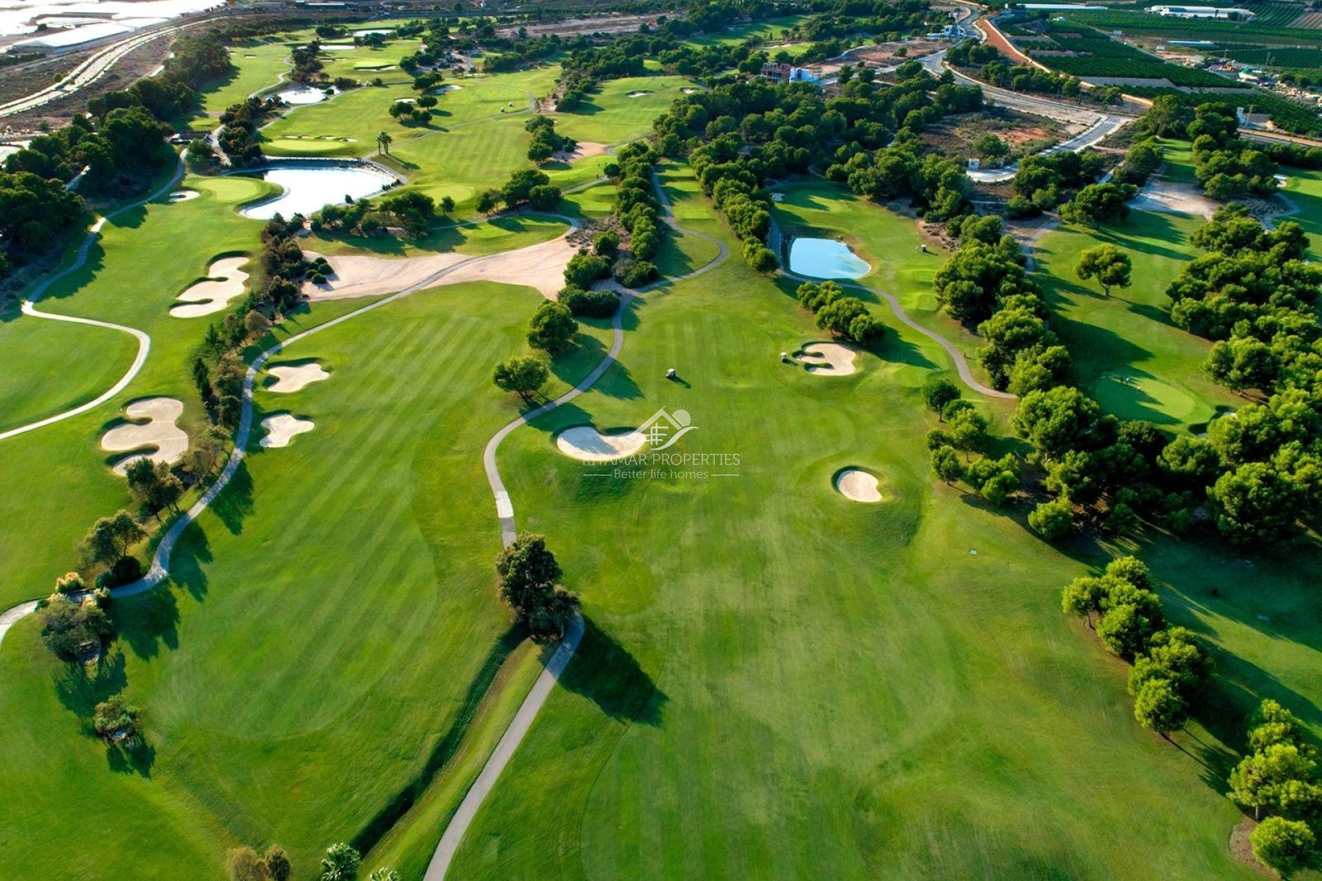 Nieuwbouw - Villa - Pilar de la Horadada - Lo Romero Golf