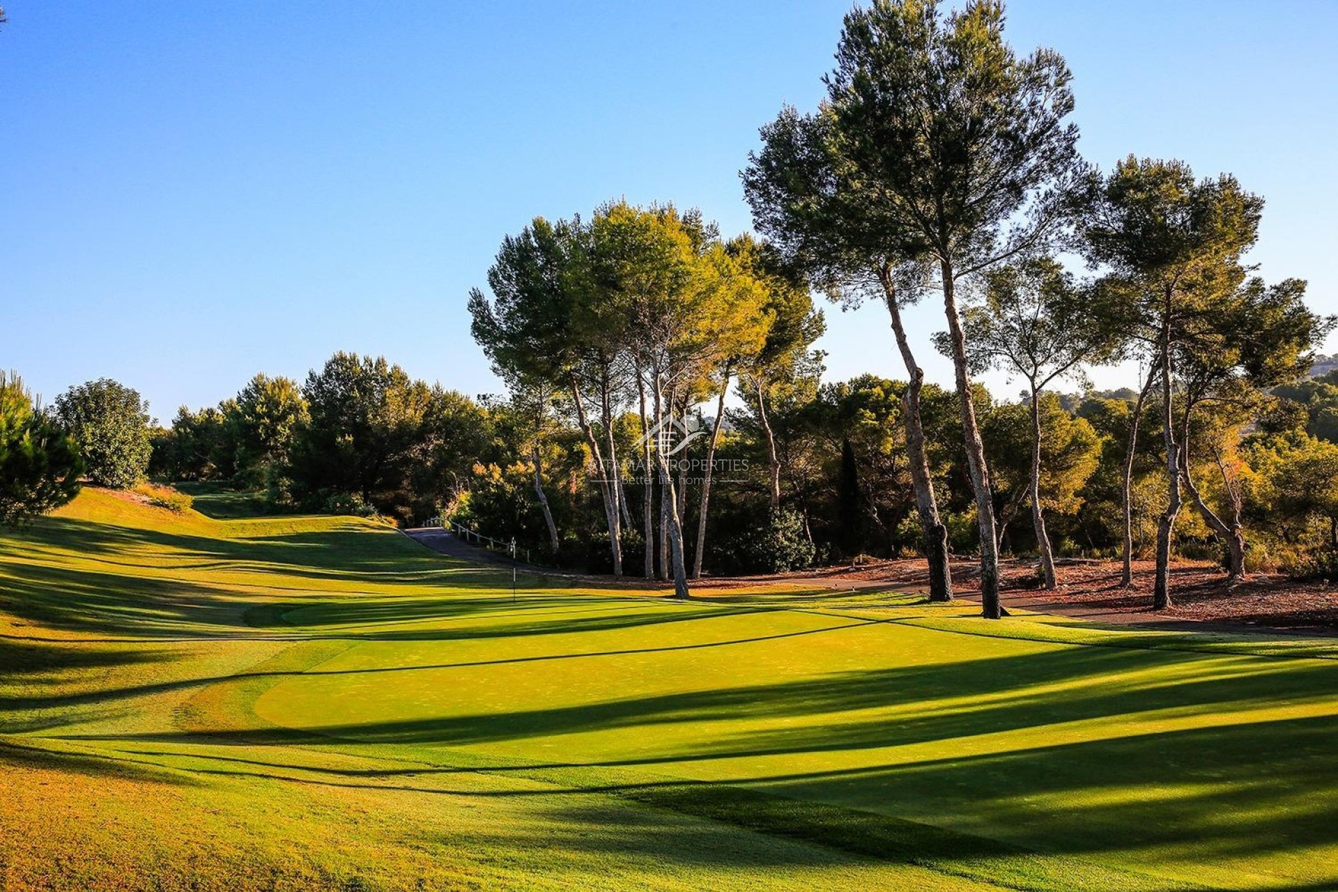 Nouvelle Construction - Villa - Orihuela - Las Colinas Golf