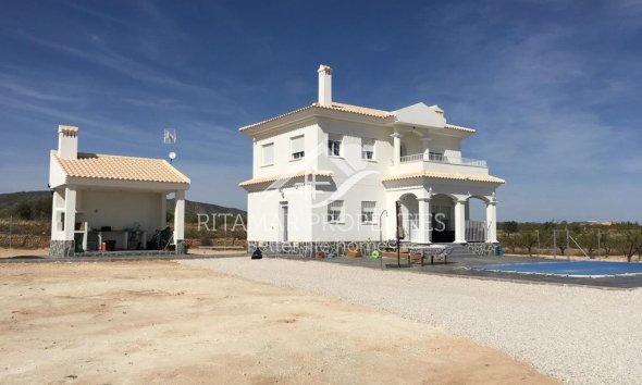 Nouvelle Construction - Villa - Pinoso - Camino Del Prado