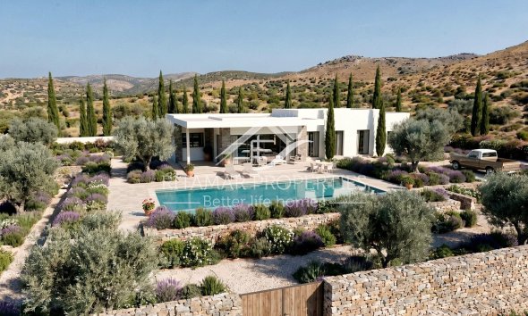 Nouvelle Construction - Villa - Pinoso - Casas Pastor