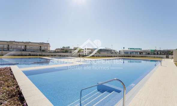 Obra Nueva - Apartamento - Torrevieja - Torreblanca