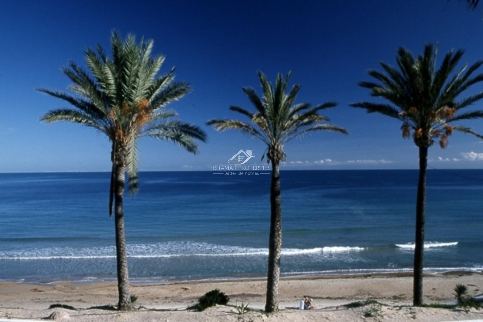 Obra Nueva - Bungalow - Pilar de la Horadada - Parque Ramon eugenio Escudero