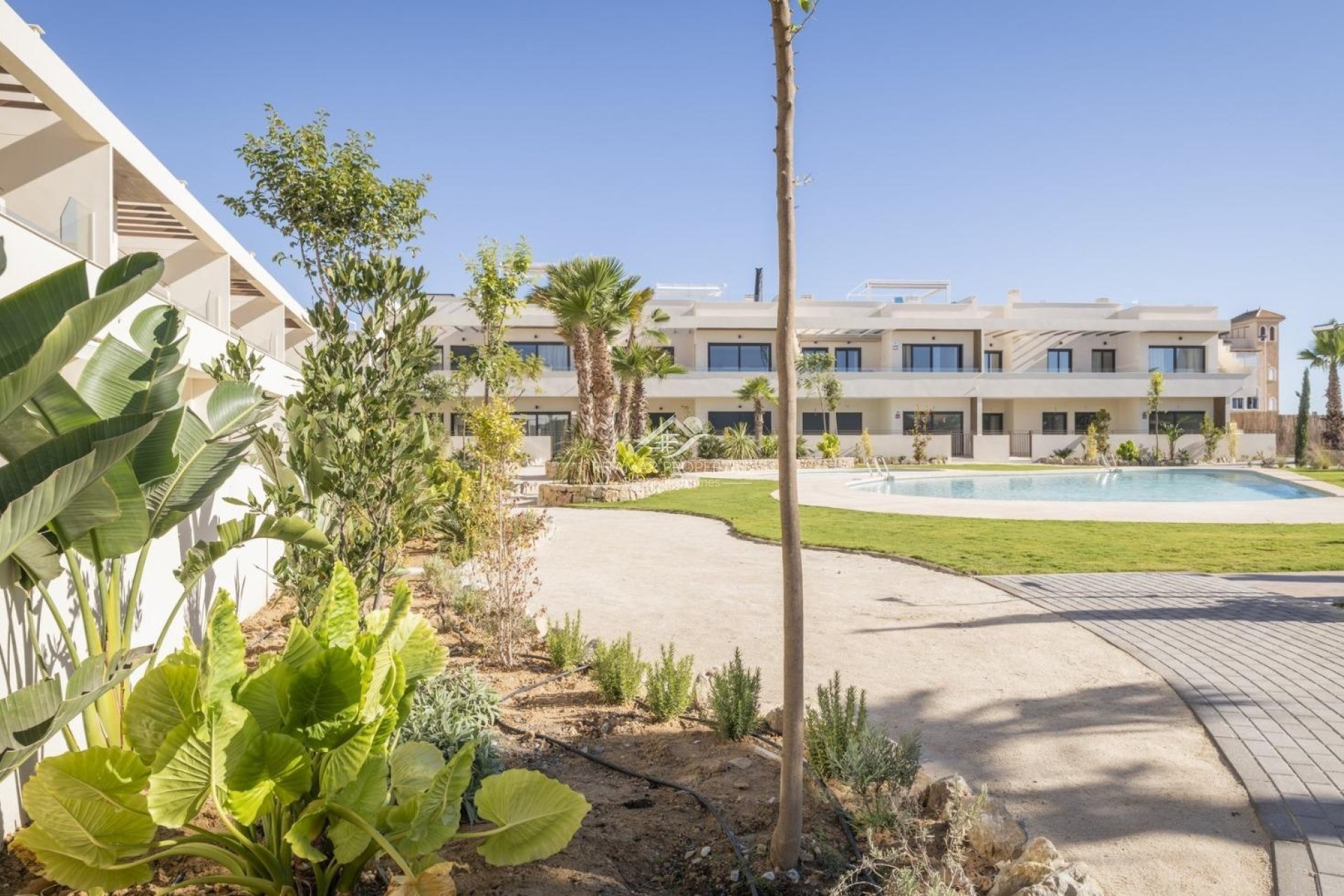Obra Nueva - Bungalow - Torrevieja - La Veleta