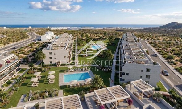 Obra Nueva - Penthouse - Vera - Vera Playa
