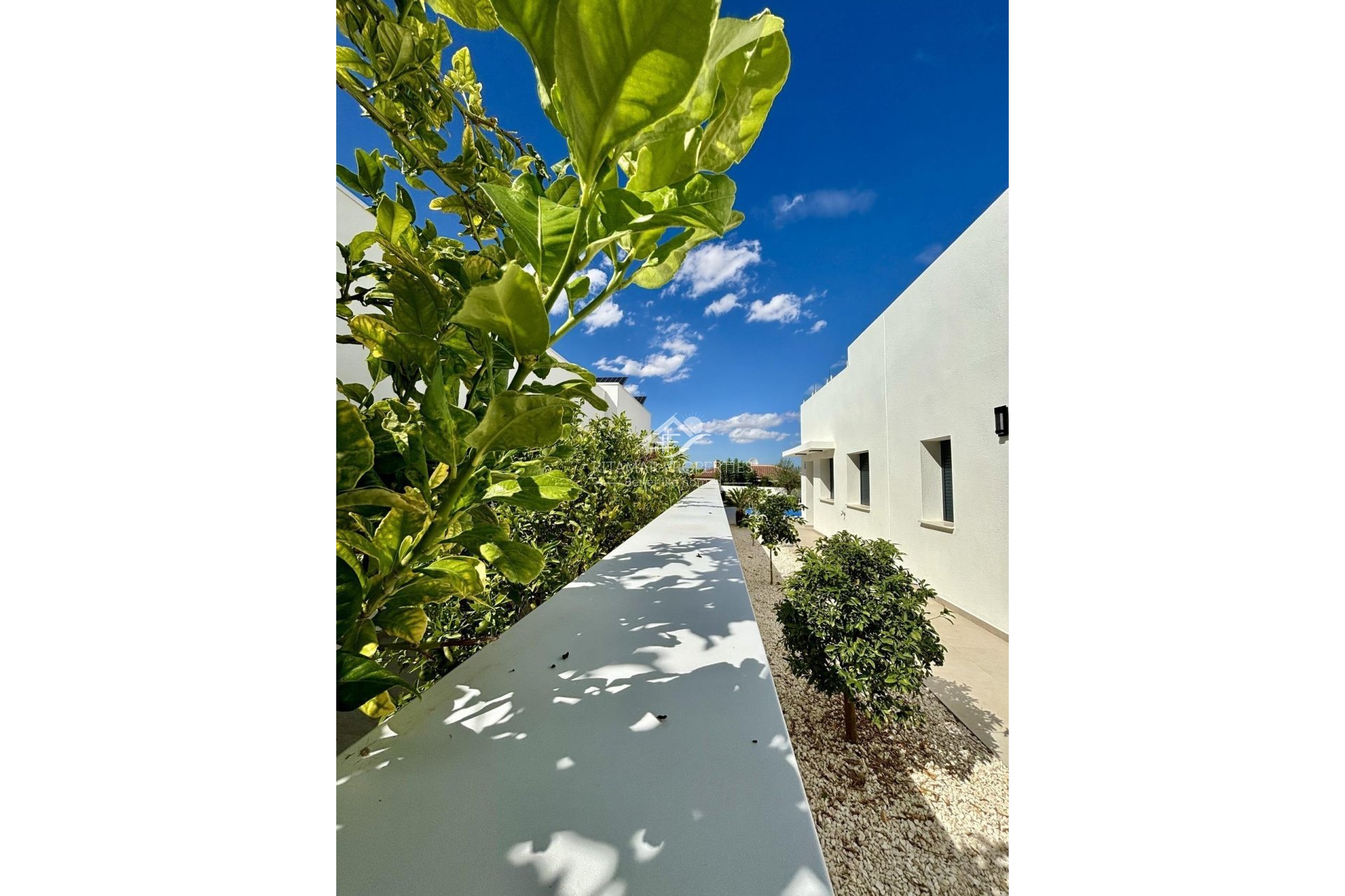 Obra Nueva - Villa - Benijófar - Pueblo