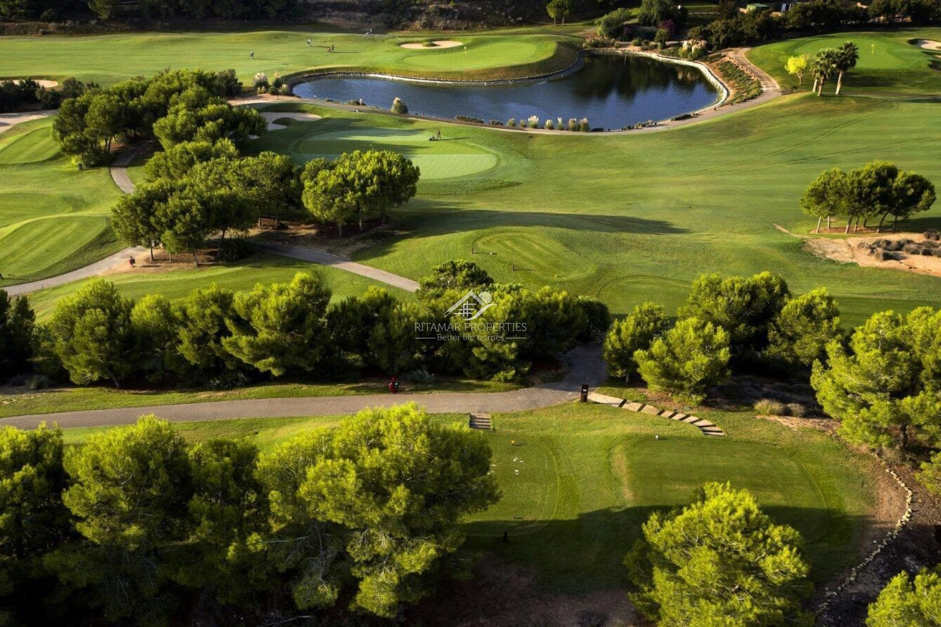 Obra Nueva - Villa - Pilar de la Horadada - Lo Romero Golf