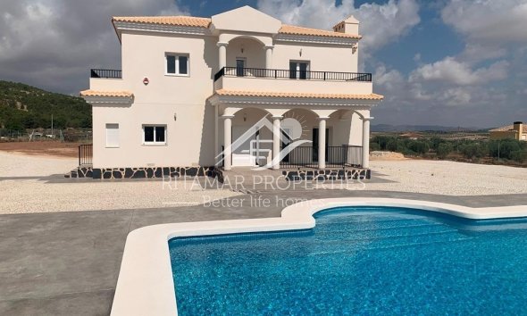 Obra Nueva - Villa - Pinoso - Camino Del Prado