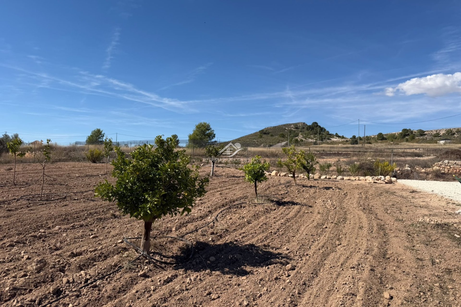 Resale - Villa - Pinoso