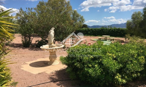Reventa - Villa - Pinoso