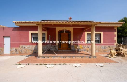 Villa - Neubau - Pinoso - RIE4051
