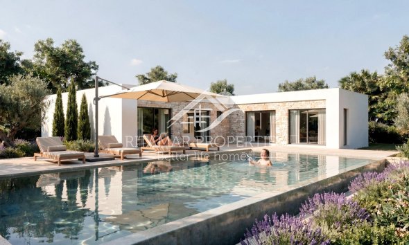 Villa - New build - Pinoso -
                Casas Pastor