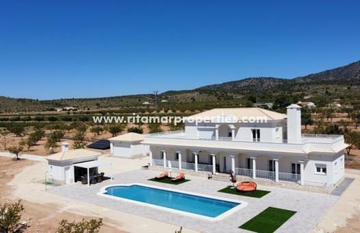 Villa - Nouvelle Construction - Pinoso - SPG-41396