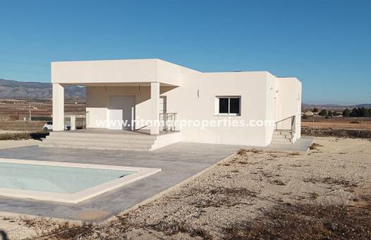 Villa - Obra Nueva - Pinoso - RIE4045