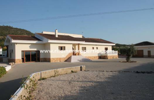 Villa - Reventa - Pinoso - RIE4007