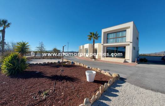 Villa - Sale - Pinoso - RIE4023