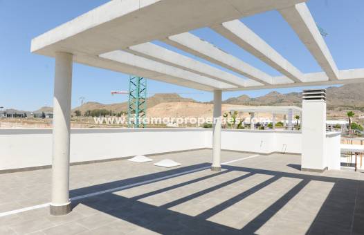 New build - Villa - Lorca