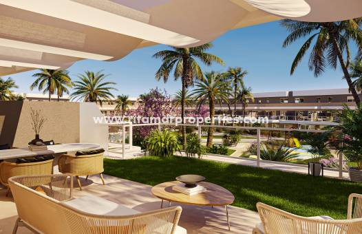 Nouvelle Construction - Appartment - Elche