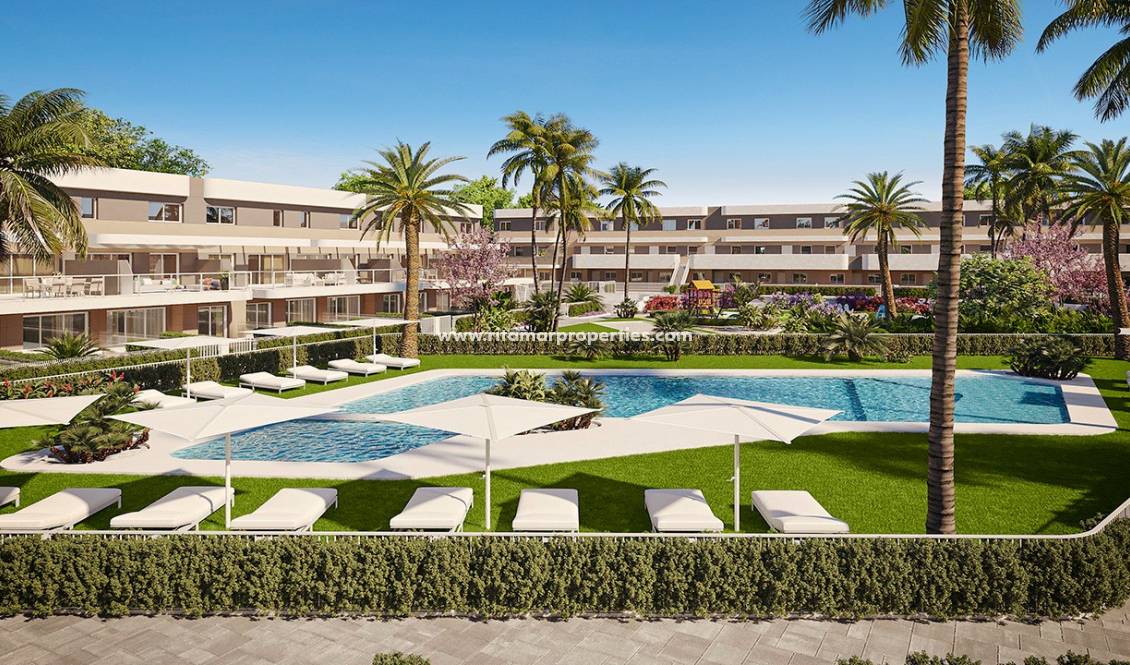 Nouvelle Construction - Appartment - Elche