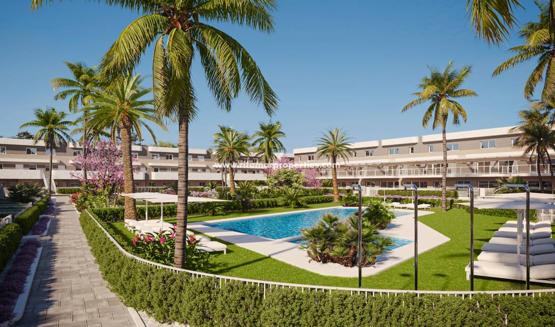 Nouvelle Construction - Appartment - Elche