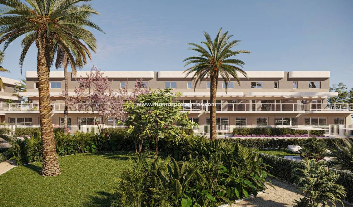 Nouvelle Construction - Appartment - Elche