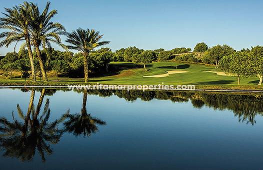 Nouvelle Construction - Appartment - Elche