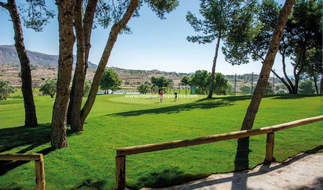 Nouvelle Construction - Appartment - Elche