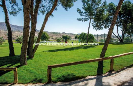 Nouvelle Construction - Appartment - Elche