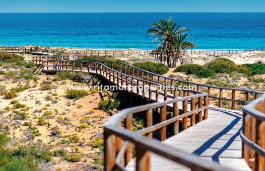Nouvelle Construction - Appartment - Elche