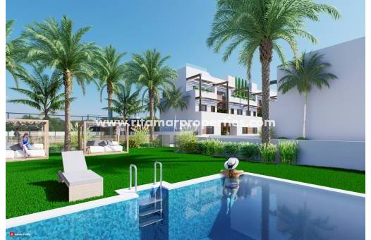 Obra Nueva - Apartamento - Pilar de la Horadada - Playa de las Higuericas
