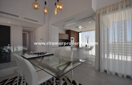 New build - Villa - San Miguel de Salinas