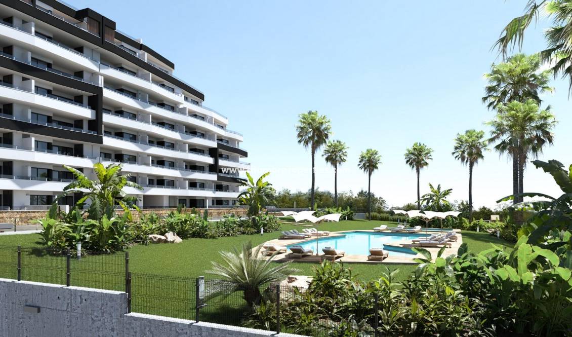  - Apartamento - San Miguel de Salinas - Pueblo