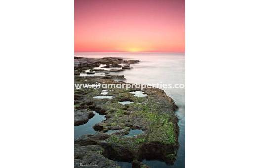 - Bungalow - Torrevieja - Altos del Sol