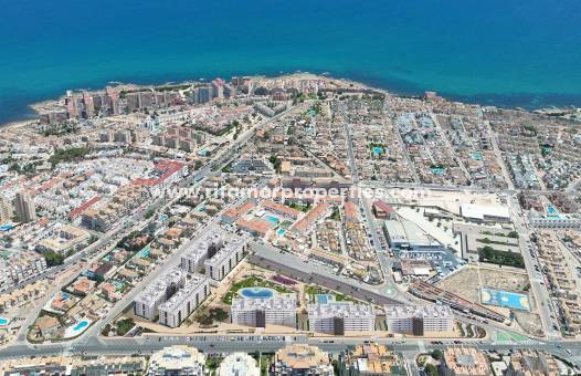  - Apartamento - Torrevieja - Torreblanca