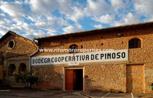  - Villa - Pinoso - Lel