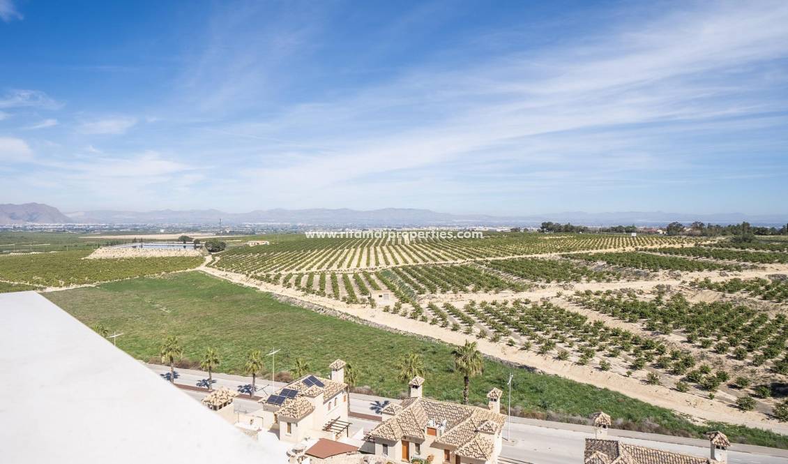 - Villa - Algorfa - La Finca Golf