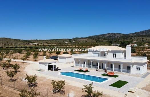  - Villa - Pinoso - Camino Del Prado