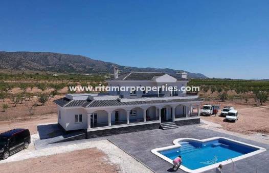  - Villa - Pinoso - Camino Del Prado