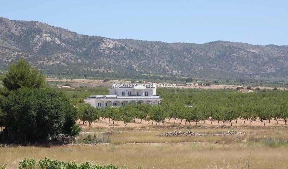  - Villa - Pinoso - Camino Del Prado