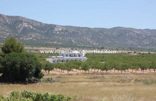  - Villa - Pinoso - Camino Del Prado
